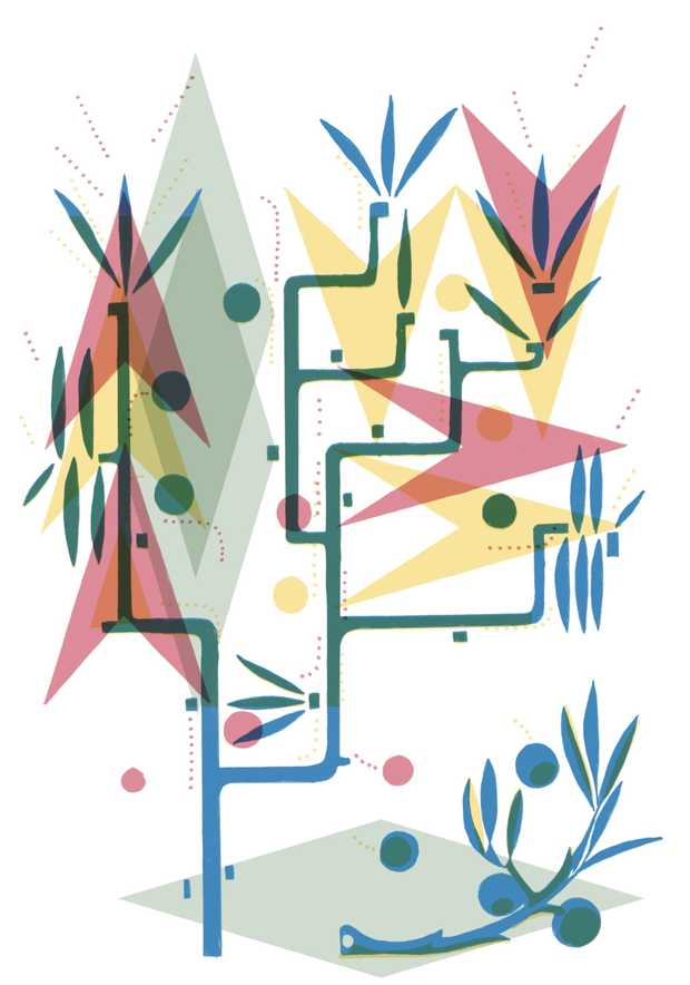 Illustration von einem Wacholder-Strauch mit runden Früchten und spitzen Blättern.