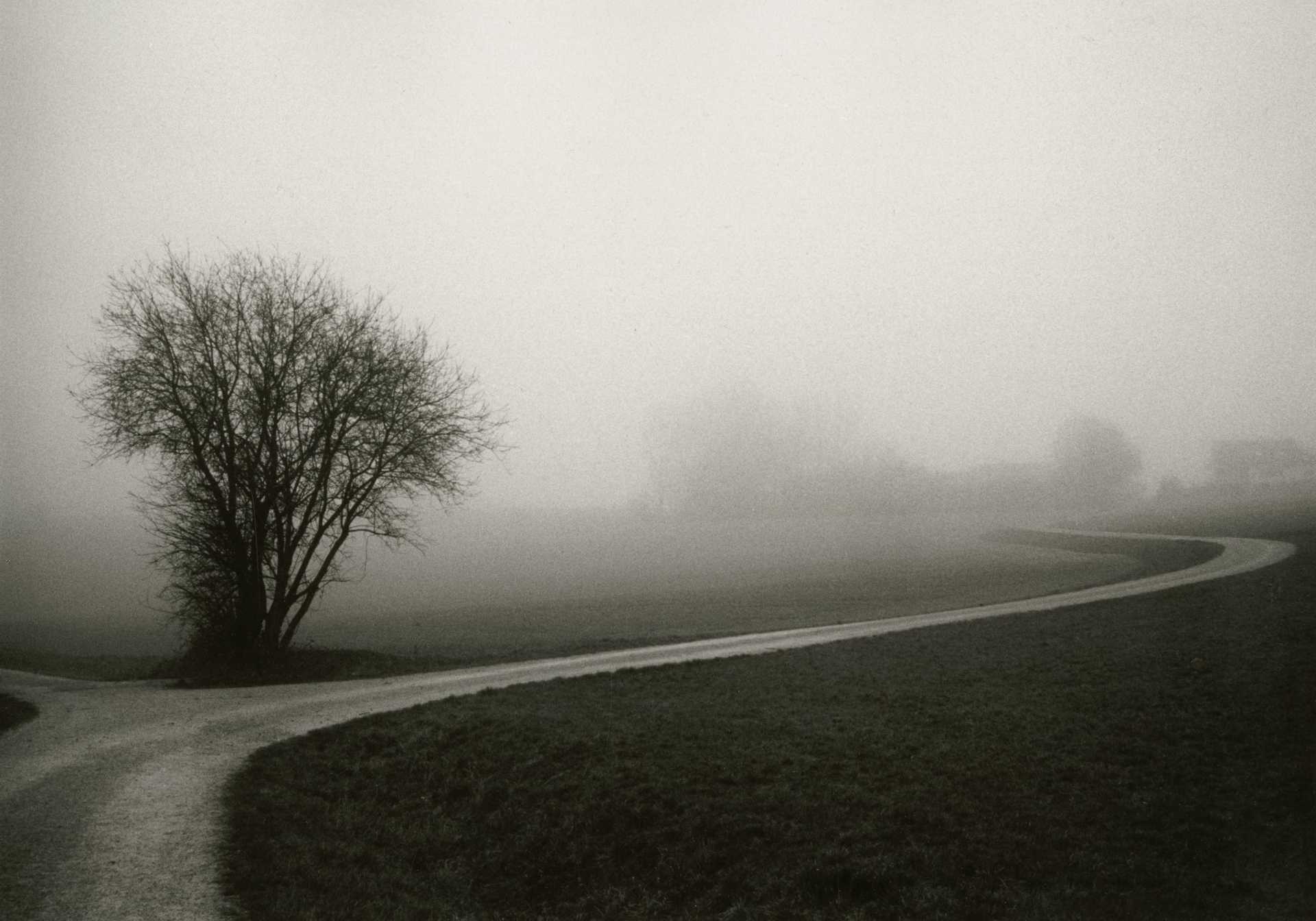 Schwarzweiß-Fotografie eines gewundenen Feldweges im Nebel