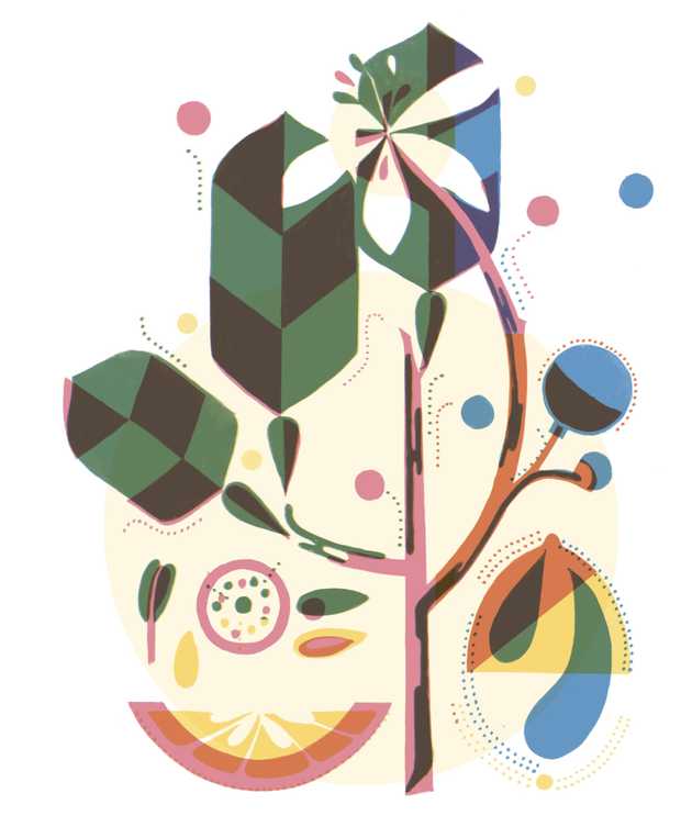 Illustration von einem Zitronenbaum mit Früchten und Blättern.